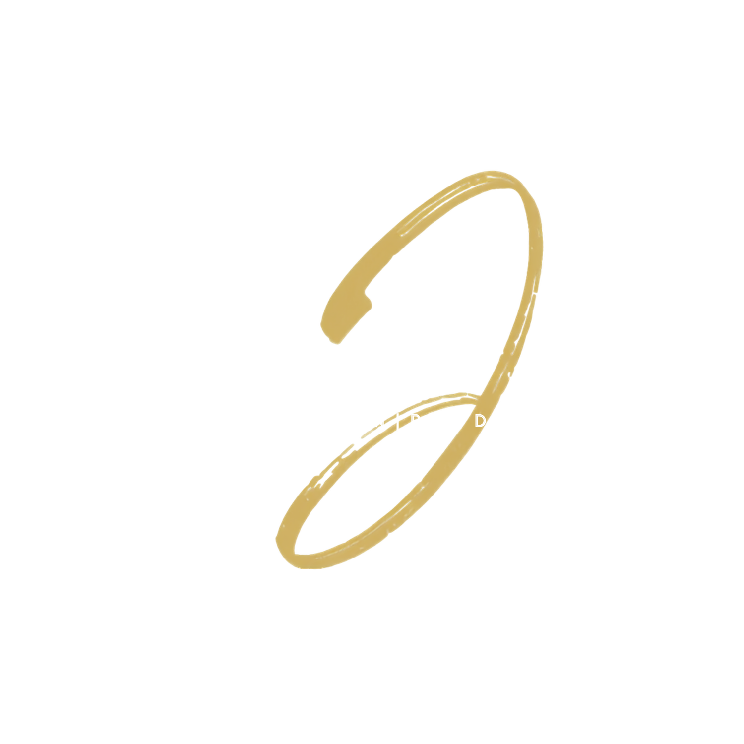 logovayola3